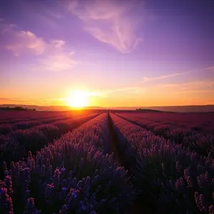 good morning quotes images with beautiful calligraphy and sunrise - download free