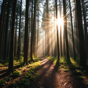 good morning images with quotes - beautiful morning image 011 - free HD download