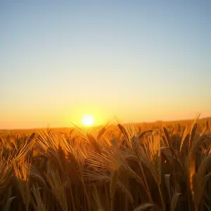 good morning images with quotes - beautiful morning image 043 - free HD download
