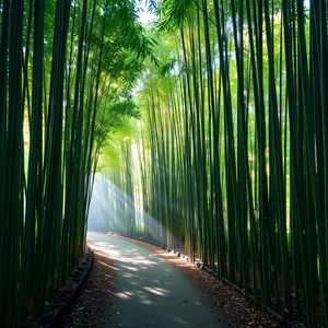 good morning images with quotes - beautiful morning image 046 - free HD download