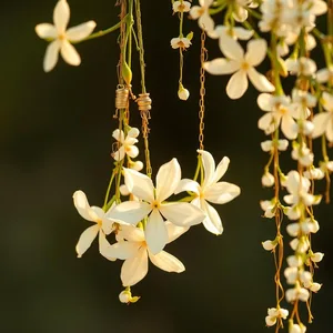 morning fresh white jasmine strings with gold jewelry - good morning lakshmi images for good morning lakshmi images HD pic