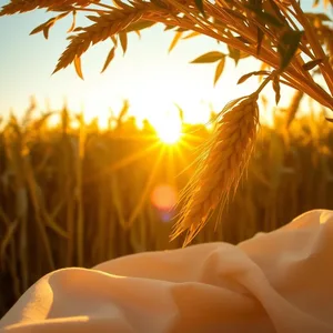 radiant good morning lakshmi images wishes wallpaper: morning golden harvest of grain and fruits
