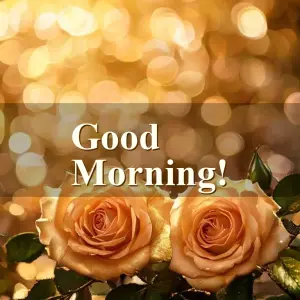 good morning monday images - beautiful morning image 003 - free HD download