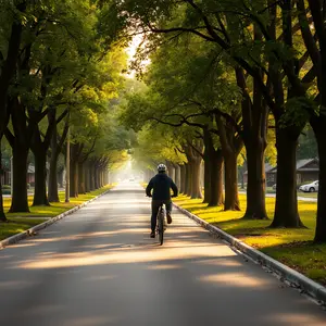 good morning monday images - beautiful morning image 026 - free HD download