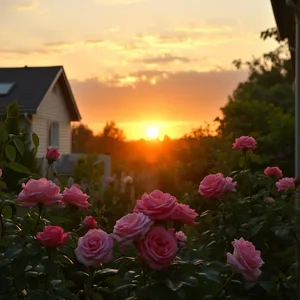 graceful good morning mother images with warm sunrise and rose flowers for mom - free download — good morning mother images design greeting card