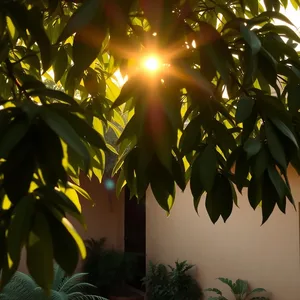 radiant good morning mother images image WhatsApp picture: good morning maa images with golden morning and heartfelt love - free download