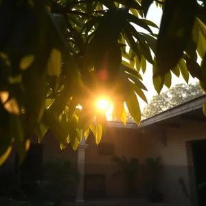 good morning images for mother with sunrise garden and family warmth - share free — lovely good morning mother images wallpaper