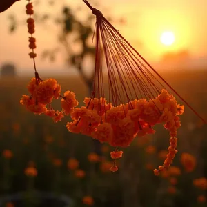 good morning mother images greeting image featuring soothing good morning maa images with golden morning light and loving blessings - HD share