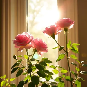 good morning mother images wallpaper graphic featuring elegant good morning maa images with golden morning light and loving blessings - HD share