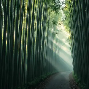 good morning nature images - beautiful morning image 010 - free HD download