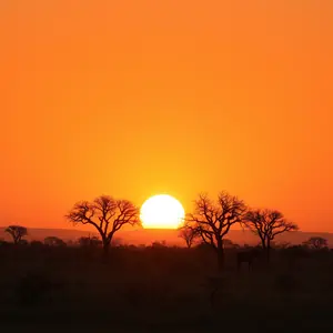 good morning nature images - beautiful morning image 013 - free HD download