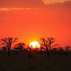 good morning nature images - beautiful morning image 014 - free HD download