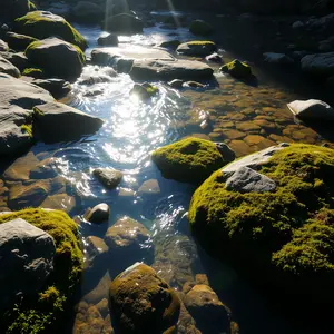 good morning nature images - beautiful morning image 015 - free HD download