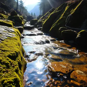 good morning nature images - beautiful morning image 016 - free HD download