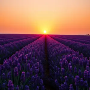 good morning nature images - beautiful morning image 017 - free HD download