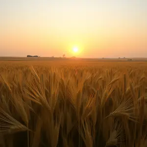 good morning nature images - beautiful morning image 031 - free HD download