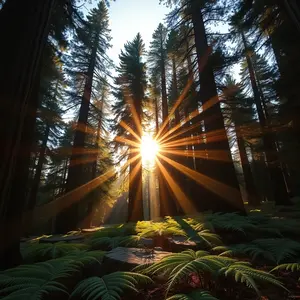 good morning nature images - beautiful morning image 040 - free HD download