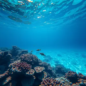 good morning nature images - beautiful morning image 042 - free HD download