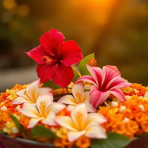 good morning navratri images greeting image featuring soothing good morning navratri images with garba dance and colorful dandiya - HD share