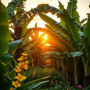 good morning radha images - beautiful morning image 027 - free HD download