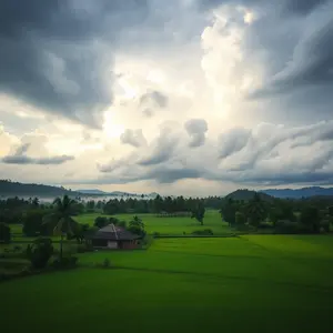 rainy good morning images - beautiful morning image 010 - free HD download