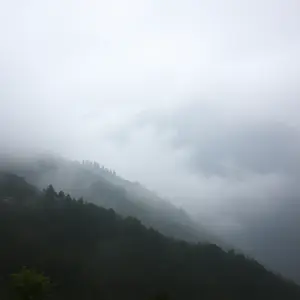 rainy good morning images - beautiful morning image 015 - free HD download