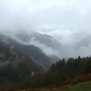 rainy good morning images - beautiful morning image 016 - free HD download