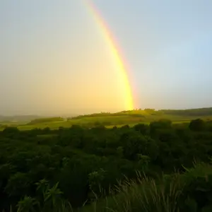 rainy good morning images - beautiful morning image 022 - free HD download