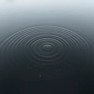 rainy good morning images - beautiful morning image 050 - free HD download