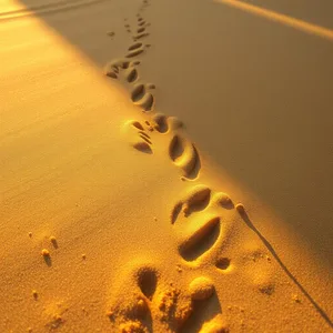 radiant good morning ram images wishes wallpaper: sacred footprints in morning golden dust, royal path - good morning ram images
