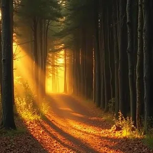 good morning ram images greeting image featuring soothing divine journey - good morning ram images with morning golden forest path leading to light