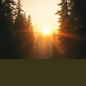 divine exile journey - good morning ram images with sacred green forest at golden sunrise — lovely good morning ram images wallpaper