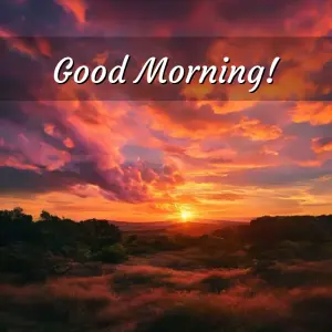 good morning rose images - beautiful morning image 007 - free HD download