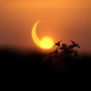 good morning shiva images - beautiful morning image 022 - free HD download