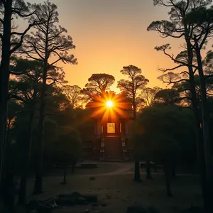 good morning shiva images - beautiful morning image 031 - free HD download