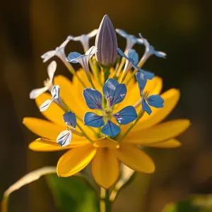 good morning shiva images - beautiful morning image 045 - free HD download