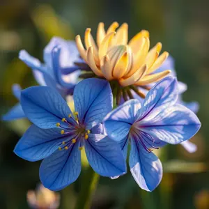 good morning shiva images - beautiful morning image 046 - free HD download