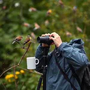 good morning sunday images - beautiful morning image 035 - free HD download