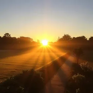 stunning good morning sunshine images photo art: golden sunrise casting long morning shadows on garden path - good morning sunshine images