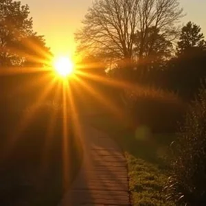 golden sunrise casting long morning shadows on garden path - good morning sunshine images — vibrant good morning sunshine images greeting