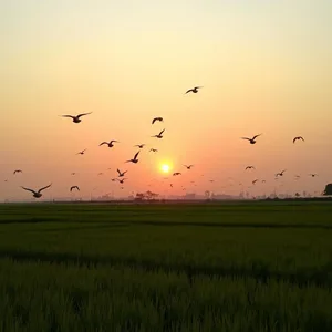 suprabhat images with lotus and sacred morning light for WhatsApp - free HD — lovely good morning suprabhat images HD pic