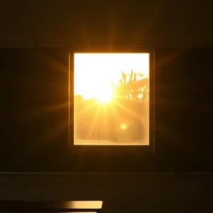 good morning teacher images wallpaper graphic featuring elegant good morning sir images with golden morning light and wisdom blessings - HD share