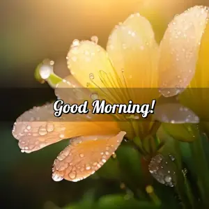 good morning thursday god images - beautiful morning image 008 - free HD download