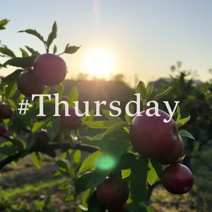 good morning thursday images - beautiful morning image 025 - free HD download