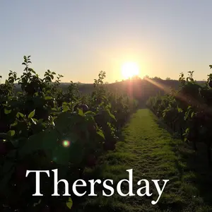 good morning thursday images - beautiful morning image 026 - free HD download