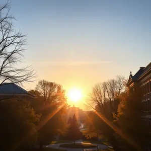 good morning thursday images - beautiful morning image 036 - free HD download