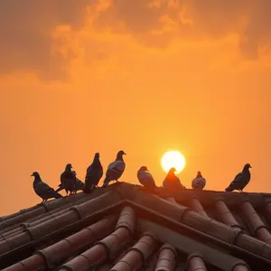 good morning tuesday god images - beautiful morning image 039 - free HD download