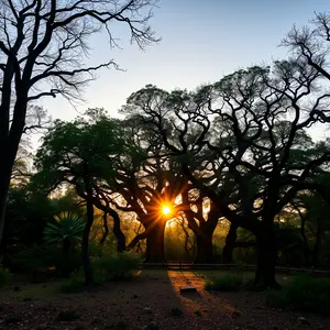 good morning tuesday god images - beautiful morning image 043 - free HD download