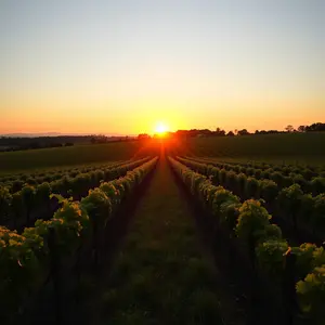 good morning tuesday images - beautiful morning image 031 - free HD download