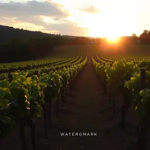 good morning tuesday images - beautiful morning image 032 - free HD download